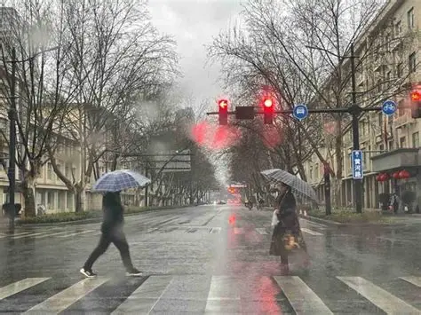 冷雨